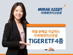 ETF Ŵ  ~ <strong>TIGER</strong> 4, й  ȯ
