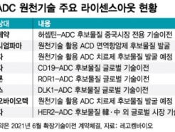 '결실의 계절' <strong>레고켐바이오</strong>…내달 ADC 플랫폼 임상결과 첫 공개