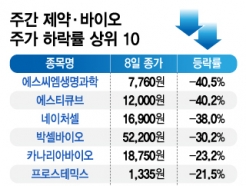 [̿ ϶ 10]1ǥ  SCM, ϻ 40.5% 