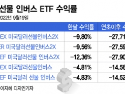 "ȯ "  ٰ '-12%'޷  ̵