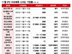 'IPO 성수기' 11월, 수요예측만 올해최다 16곳…"낮은 공모가 '줍줍' 찬스"