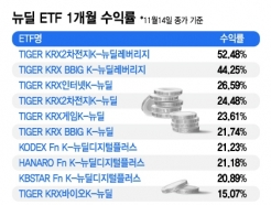  ӵ  뿡 ޸ ETFѴ޻ 52%