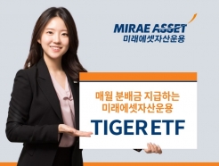 ̷¿, TIGER ETF 2 й 'й' 