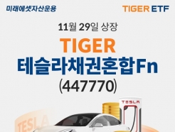 ̷ 'TIGER ׽äȥFn ETF' ű 