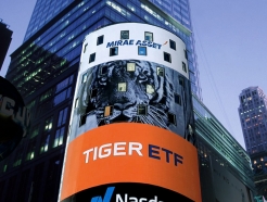 'TIGER ̳׼ũ ETF',  ū ȫü 'ָ'