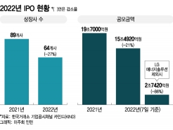 올해 마지막까지 '상장 철회'…LG엔솔 빼면 90% 줄어든 IPO 시장