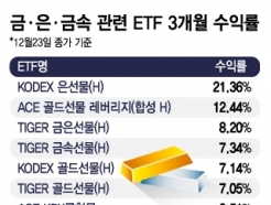 ŷ޷  ٶ ٽ ν ݡ ETF  21% ''