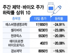[̿ ϶ 10] '޵' SCM,  24.91%