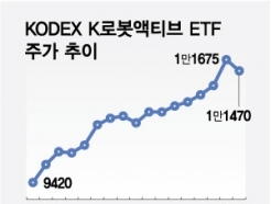 2023  뼼 κ?K-κ Ƽ ETF 19%