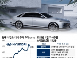 "3000억, 화끈하게 태운다" 현대차의 결단...뒤따를 韓 주식은?