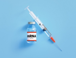  mRNA   µ,  ʱܰ衦 