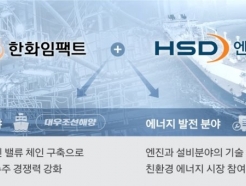 ȭ ǰ <strong>HSD</strong>,  ȣȲ⿡ ¼ 'Ź' Ƴ