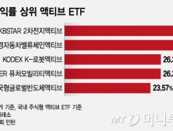 'ְ ͷ 31%' ڽ ̱ Ƽ ETF顦 '̰' Ҵ