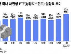 '<strong>ä</strong> ETF'  ̾١赵 ǰ  ''