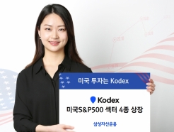Ｚڻ, KODEX ̱ S&P500  4 
