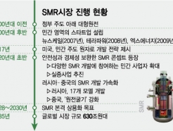 "2030년 전 기업 주도 'SMR' 도입 가능"…민·관 합작도 만지작