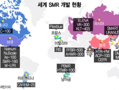'SMR 패권'에 진심인 美…국내 기업들도 '윈-윈' 투자 러시