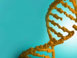 유전자가위로 일냈다…질병 DNA '싹둑', 최대 4500억 기술 수출