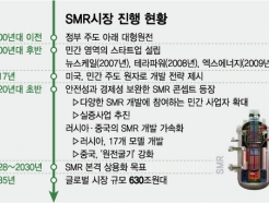 2030 'SMR' ȭ ȴٸ顦  ƺ״ Ȯ 