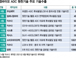 ADC  <strong>͹̿</strong>,  Ȯ뿡 '' 