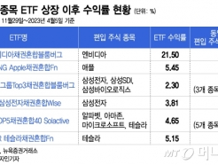   ETF ͷ ?"߿   ʴ "