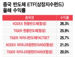 '뼼' 2 ̰...''  ݵü ETF 淡