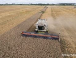 러-우크라 흑해곡물협정 중단 위기에…사료·곡물주 연일 강세