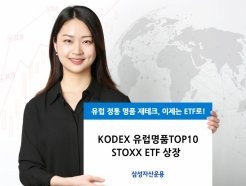 '޽ ' KODEX ǰ TOP10 STOXX ETF 