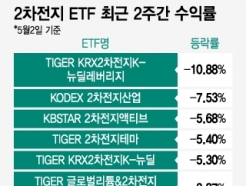 ϴ 2<strong></strong> ETF 2ֻ '-10%'SG¿ ֵ ̳?