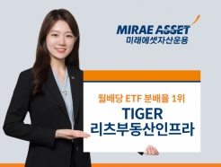 'TIGER <strong></strong>ε'   ETF й 1