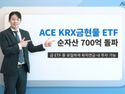  ȣ ١'ACE KRX' ETF, ڻ 700 