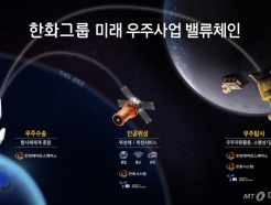 '한국판 뉴스페이스' 꿈꾸는 김동관호, 로켓·위성산업 다 잡는다