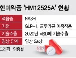'빅파마'도 번번이 무릎꿇는 NASH…한미약품, 다음달 신약 가능성 확인