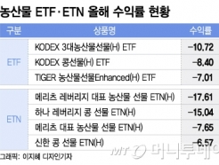    ١ͷ   깰 ETF