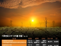 " Ƿ"  ҡϴ...50% ޵ ETF