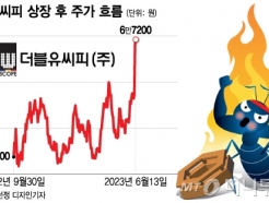 '애물단지→효자' 변신...더블유씨피 66% 급등에 웃는 KB증권