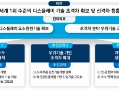 '민·관 디스플레이 드림팀'…초격차 기술 확보, 글로벌 1위 목표