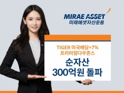 'TIGER ڸ+7%̾ٿ' ETF ڻ 300 