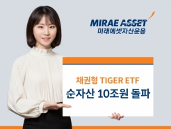 ̷ڻ, 'ä TIGER' ETF ڻ 10 