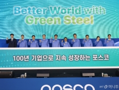 ,   'Better World with Green Steel'