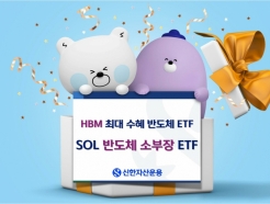 'SOL 반도체소부장Fn' ETF, 한달 수익률 1위…"HBM 수혜 상품"