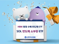 'SOL ݵüҺFn' ETF, Ѵ ͷ 1"HBM  ǰ"