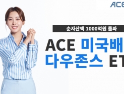 , 'ACE ڸٿ' ETFڻ 1000 
