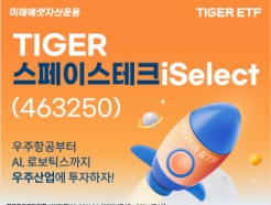 װ AI'TIGER ̽<strong>ũ</strong>iSelect ETF' 