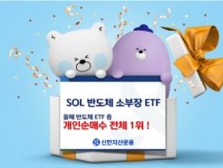 ̰  ݵü ETF...'SOL ݵüҺFn' ż 1