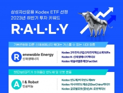 Ｚ, Ϲݱ ETF  Ű '(R.A.L.L.Y)' 