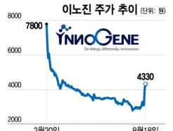 "Ż 츮 "'ƿ Ŀ'   ȸ, ְ 40% ''