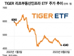 '-30%' ٴ ...ݵ 븮 K- ETF