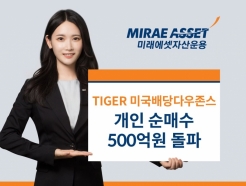 '<strong>TIGER</strong> <strong>미국</strong>배당<strong>다우존스</strong> ETF'에 개인 자금 500억 몰렸다