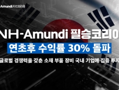 NH-Amundi ʽڸݵ,   ͷ 30% 